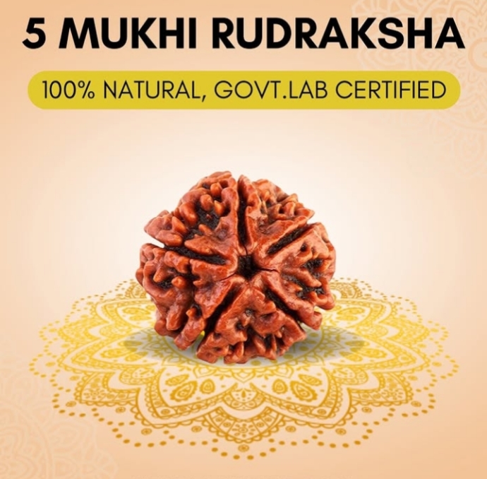 5 Mukhi Rudraksha